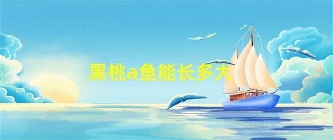 黑桃A魚繁殖水質(zhì)調(diào)控技巧（黑桃a魚繁殖期間水質(zhì)調(diào)控技巧） 觀賞魚市場(chǎng)（混養(yǎng)魚） 第2張