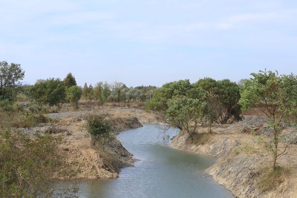 肺魚棲息地保護措施（肺魚棲息地保護）