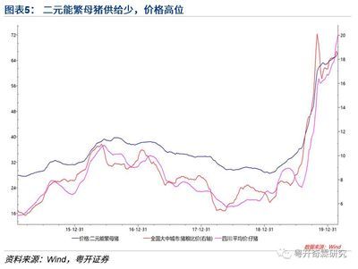 非洲金鼓魚運輸成本構(gòu)成分析（非洲金鼓魚的運輸成本） 觀賞魚市場（混養(yǎng)魚） 第3張