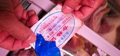 福龍冷凍食品社會責任案例（福建省福龍冷凍食品有限公司積極參與社會公益活動） 觀賞魚市場（混養(yǎng)魚） 第4張