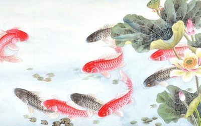 龍魚批發(fā)祥龍魚場(chǎng)（祥龍魚場(chǎng)龍魚價(jià)格及種類） 龍魚百科 第3張