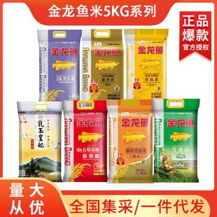 金龍魚御品珍珠米5kg（金龍魚御品珍珠米） 龍魚百科 第3張