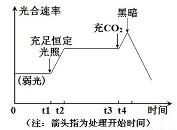 龍魚喂什么長的快一點(diǎn)好養(yǎng)（龍魚喂養(yǎng)常見誤區(qū)解析龍魚的喂食策略對(duì)龍魚的影響） 龍魚百科 第5張