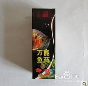 龍魚吃蝦干還是活食好（蝦干與活蝦營養(yǎng)價(jià)值對(duì)比,龍魚腸炎預(yù)防措施） 龍魚百科 第1張