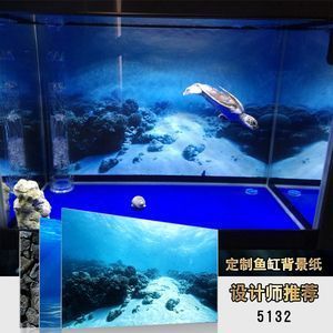 龍魚背景紙什么樣的好（如何正確安裝龍魚背景紙，不同光照下龍魚背景紙的日常維護(hù)方法） 龍魚百科 第5張