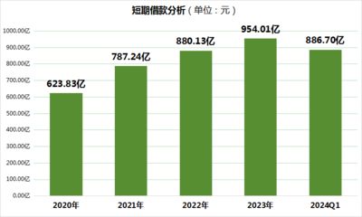 金龍魚經(jīng)營分析怎么寫（金龍魚的經(jīng)營分析） 龍魚百科 第1張