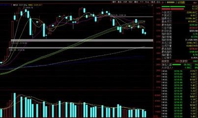 美股金龍魚指數走勢（美股金龍魚指數最新走勢） 龍魚百科 第2張