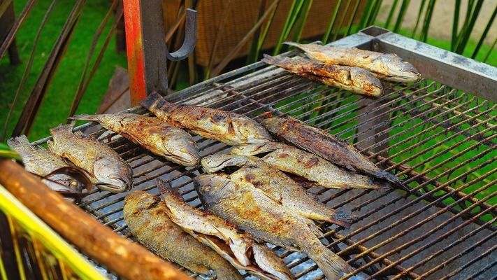 金龍魚山茶油好嗎（金龍魚山茶油價格是多少金龍魚山茶油的原料是什么） 水族問答