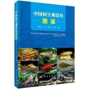 龍魚常見品種飼養(yǎng)與現(xiàn)狀研究論文怎么寫（“龍魚常見品種飼養(yǎng)與現(xiàn)狀研究”論文的撰寫思路） 龍魚百科 第4張