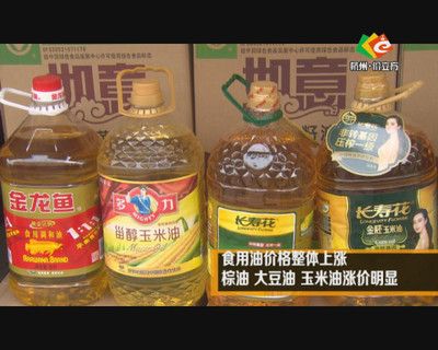 金龍魚長壽花哪個好（金龍魚與長壽花的食用油比較） 龍魚百科 第1張