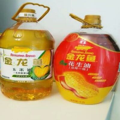 金龍魚長壽花哪個好（金龍魚與長壽花的食用油比較） 龍魚百科 第5張