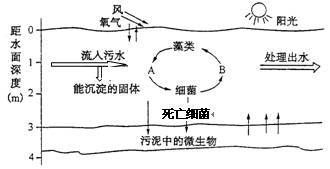 銀龍魚養(yǎng)殖水溫是多少度的（銀龍魚的養(yǎng)殖技術(shù)） 水族問答