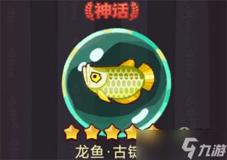 龍魚怎么洗（如何保持龍魚水質(zhì)穩(wěn)定，龍魚換水的最佳時(shí)機(jī)） 龍魚百科 第5張