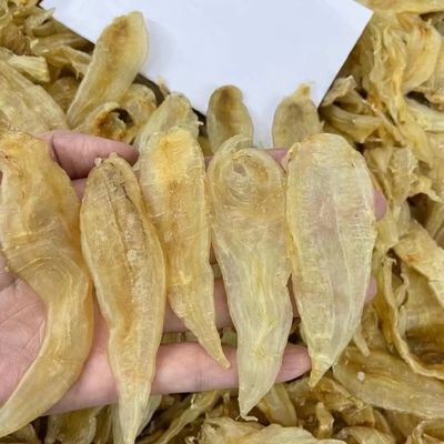 金龍魚膠哪里產(chǎn)的最好（印度產(chǎn)的金龍魚膠被認為是上品） 龍魚百科 第2張