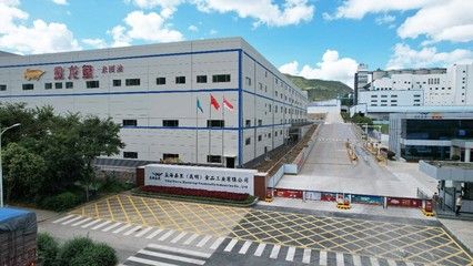 金龍魚中國工廠（金龍魚中國工廠——金龍魚中國工廠） 龍魚百科 第4張