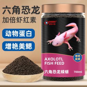 六角恐龍魚專用飼料（六角恐龍魚專用飼料品牌推薦六角恐龍魚專用飼料喂食技巧） 龍魚百科 第5張