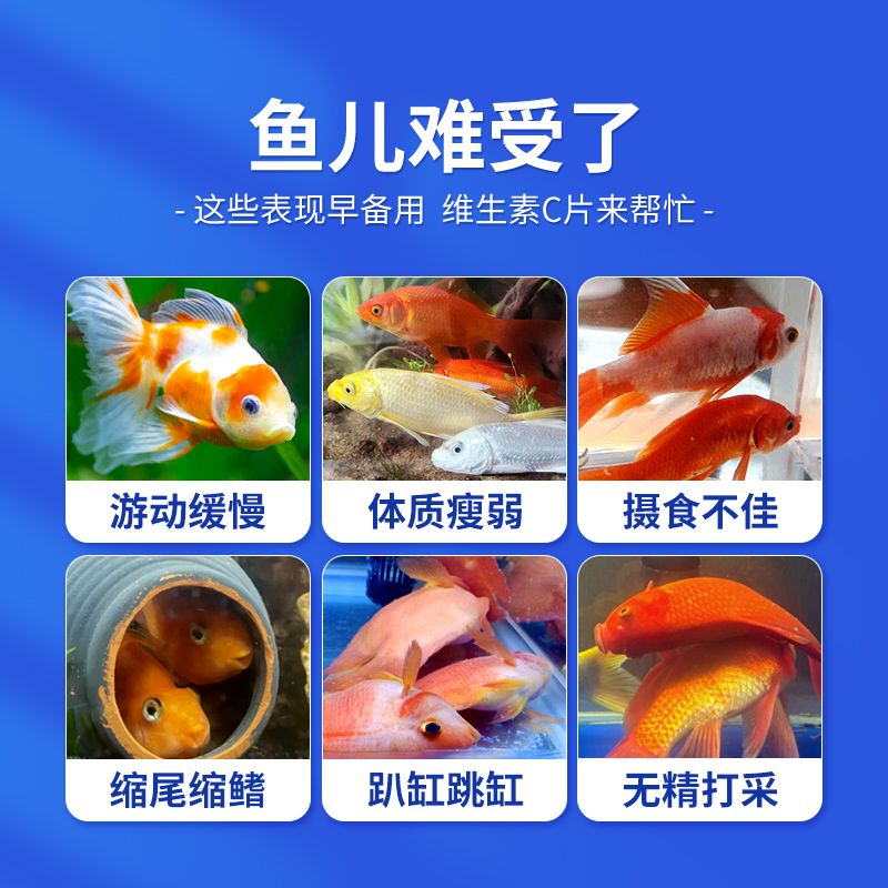 龍魚長時間使用維他命會怎么樣（如何自制龍魚維生素補(bǔ)充劑） 龍魚百科 第5張