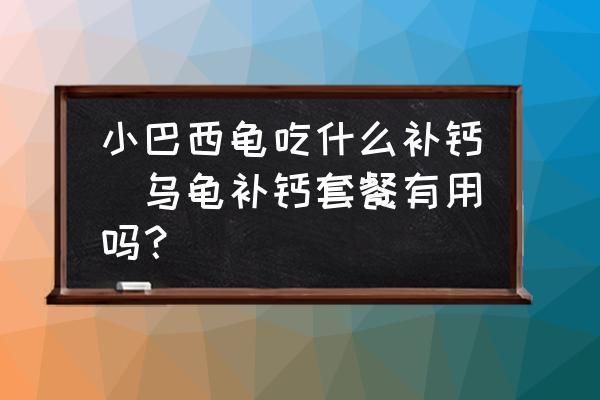 金龍魚投資方（金龍魚投資方是一系列投資者，他們的投資方向是什么） 水族問答