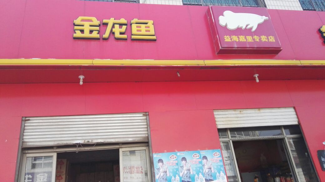 金龍魚專賣店電話（丹東金龍魚專賣店地址查詢） 龍魚百科 第3張