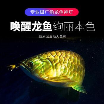 龍魚t8燈管（如何根據(jù)魚缸尺寸選燈管功率，） 龍魚百科 第5張