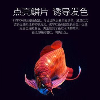 龍魚t8燈管（如何根據(jù)魚缸尺寸選燈管功率，） 龍魚百科 第3張