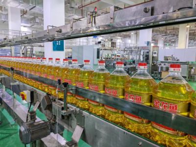 金龍魚蘭州總代理是誰（蘭州市永吉食品有限公司金龍魚食用油品牌對比蘭州地區(qū)食用油品牌對比） 龍魚百科 第4張