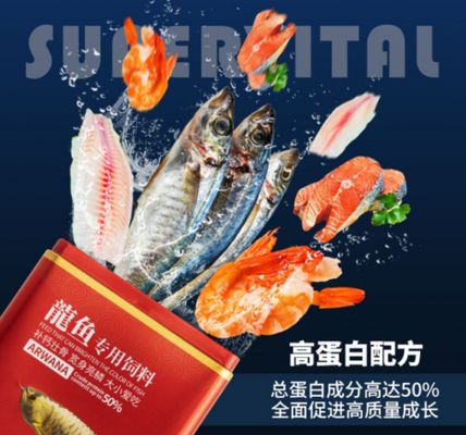 龍魚喂什么便宜點（龍魚自制飼料品牌推薦：蝦類、昆蟲喂養(yǎng)注意事項） 龍魚百科 第3張