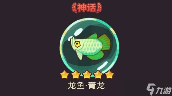 龍魚青龍升星（游戲論壇升星攻略匯總龍魚青龍升星效果展示） 龍魚百科 第1張