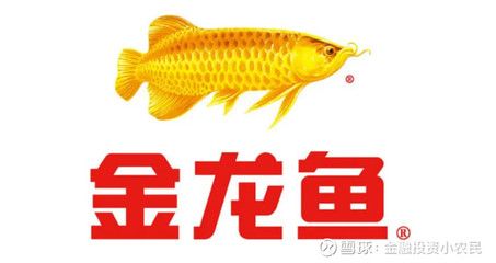 金龍魚主營業(yè)務(wù)（金龍魚主營業(yè)務(wù)包括哪些？） 龍魚百科 第2張