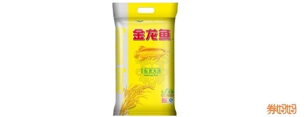 金龍魚粳米價格多少（金龍魚粳米價格信息：金龍魚粳米哪個品種口感好） 龍魚百科 第2張