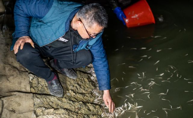 金龍魚怎么養(yǎng)發(fā)色好看圖片（如何保持金龍魚的健康發(fā)色？） 水族問(wèn)答