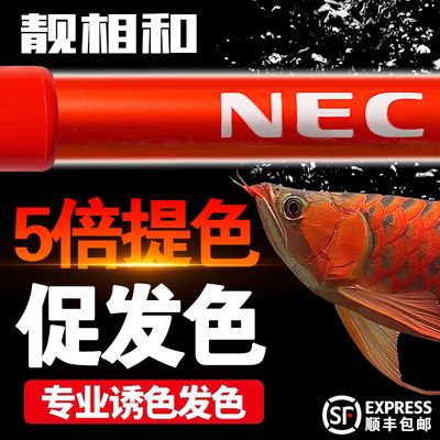 日本的龍魚（日本龍魚在日本的市場價值探究，龍魚在日本的市場價值探究） 龍魚百科 第2張