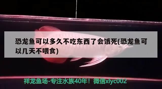 恐龍魚可以幾天不喂（恐龍魚在不進(jìn)食的情況下可以存活較長時(shí)間，恐龍魚喂食的最佳時(shí)間） 龍魚百科 第2張