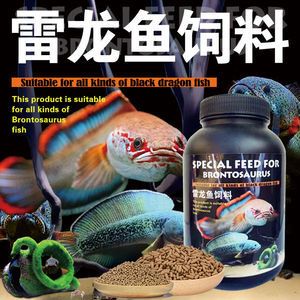 紅龍魚哪個品種好看又漂亮（-紅龍魚哪種最美觀如何挑選紅龍魚） 水族問答