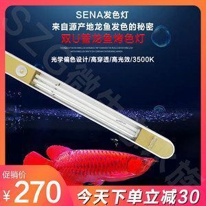 龍魚發(fā)色專用燈怎么用（-金龍系龍魚發(fā)色專用燈使用指南，照亮龍魚美麗之旅） 龍魚百科 第2張