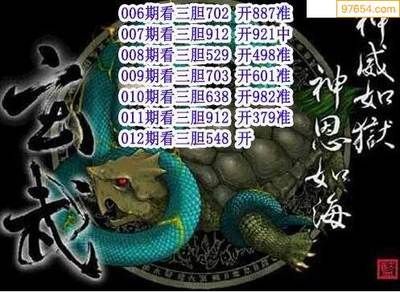 龍魚混養(yǎng)四大神獸一般養(yǎng)幾只（龍魚混養(yǎng)四大神獸一般建議養(yǎng)2-4只） 龍魚百科 第5張