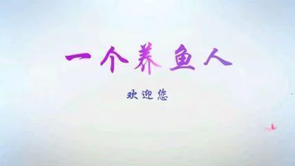 龍魚的選擇和鑒賞怎么寫作文300字（龍魚的選擇和鑒賞） 龍魚百科 第3張