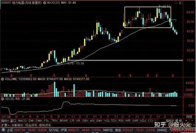 金龍魚行情走勢分析最新 龍魚百科 第1張