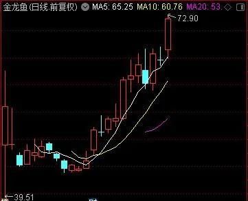 金龍魚行情走勢分析最新 龍魚百科 第5張