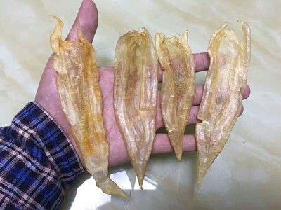 金龍魚膠的營養(yǎng)價值和功效 龍魚百科 第5張