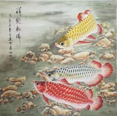 金龍魚(yú)國(guó)畫(huà)作品（張利宏金龍魚(yú)國(guó)畫(huà)作品《金龍魚(yú)國(guó)畫(huà)作品賞析：金龍魚(yú)》） 龍魚(yú)百科 第2張