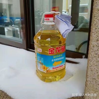 金龍魚值錢嗎現(xiàn)在還能買嗎知乎（金龍魚品牌發(fā)展歷程） 龍魚百科 第4張