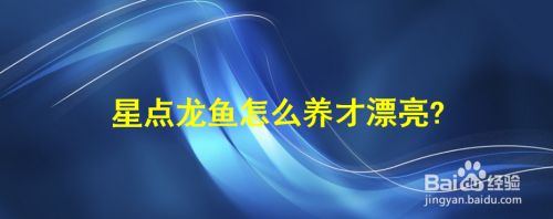 龍魚如何養(yǎng)好看（龍魚的飼養(yǎng)方法） 龍魚百科 第4張