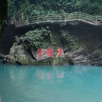 青龍魚業(yè)門票多少錢（青龍魚業(yè)門票價格是多少） 龍魚百科 第4張