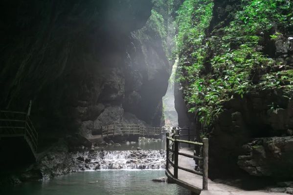 青龍魚業(yè)門票多少錢（青龍魚業(yè)門票價格是多少） 龍魚百科 第3張