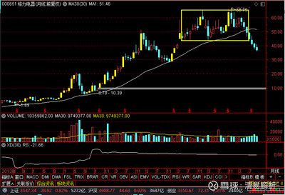 金龍魚行情分析（金龍魚股價波動與市場分析） 龍魚百科 第4張