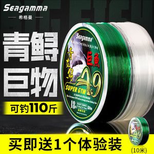 青龍魚線價格（青龍魚線價格是多少） 龍魚百科 第3張