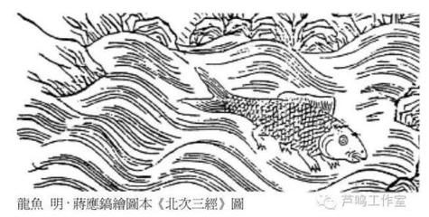 龍魚口感怎樣描述的（龍魚與其他魚類口感對比，如何挑選新鮮龍魚的口感對比） 龍魚百科