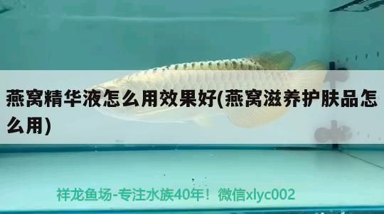 龍魚在20度的水溫里會死嗎？（龍魚在20度的水溫下會死亡嗎） 龍魚百科 第2張