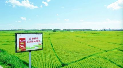 金龍魚種植基地地址（金龍魚種植基地位于中國廣東省佛山市南海區(qū)具體地址） 龍魚百科 第4張